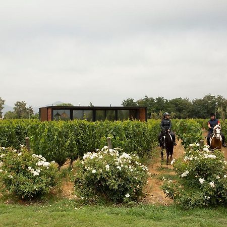 Vibo Wine Lodge At Viu Manent Santa Cruz Bagian luar foto