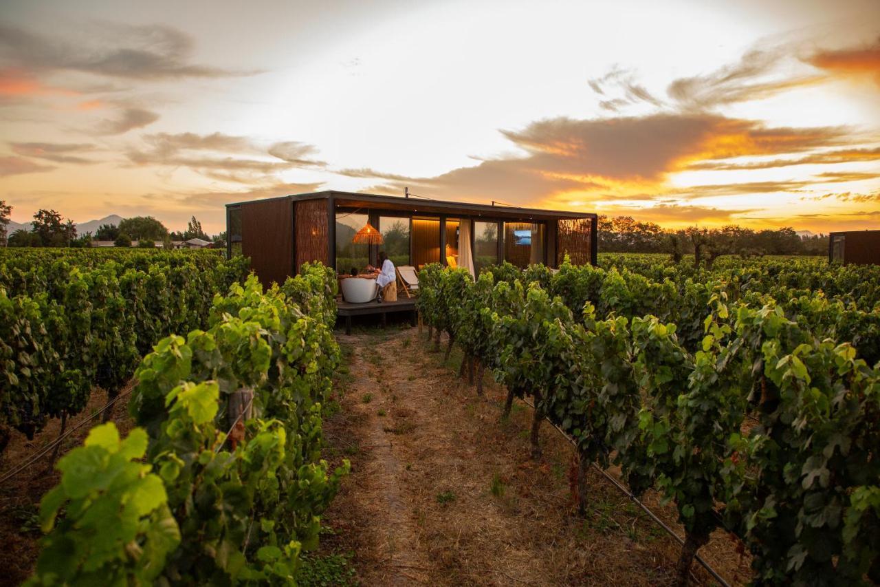 Vibo Wine Lodge At Viu Manent Santa Cruz Bagian luar foto