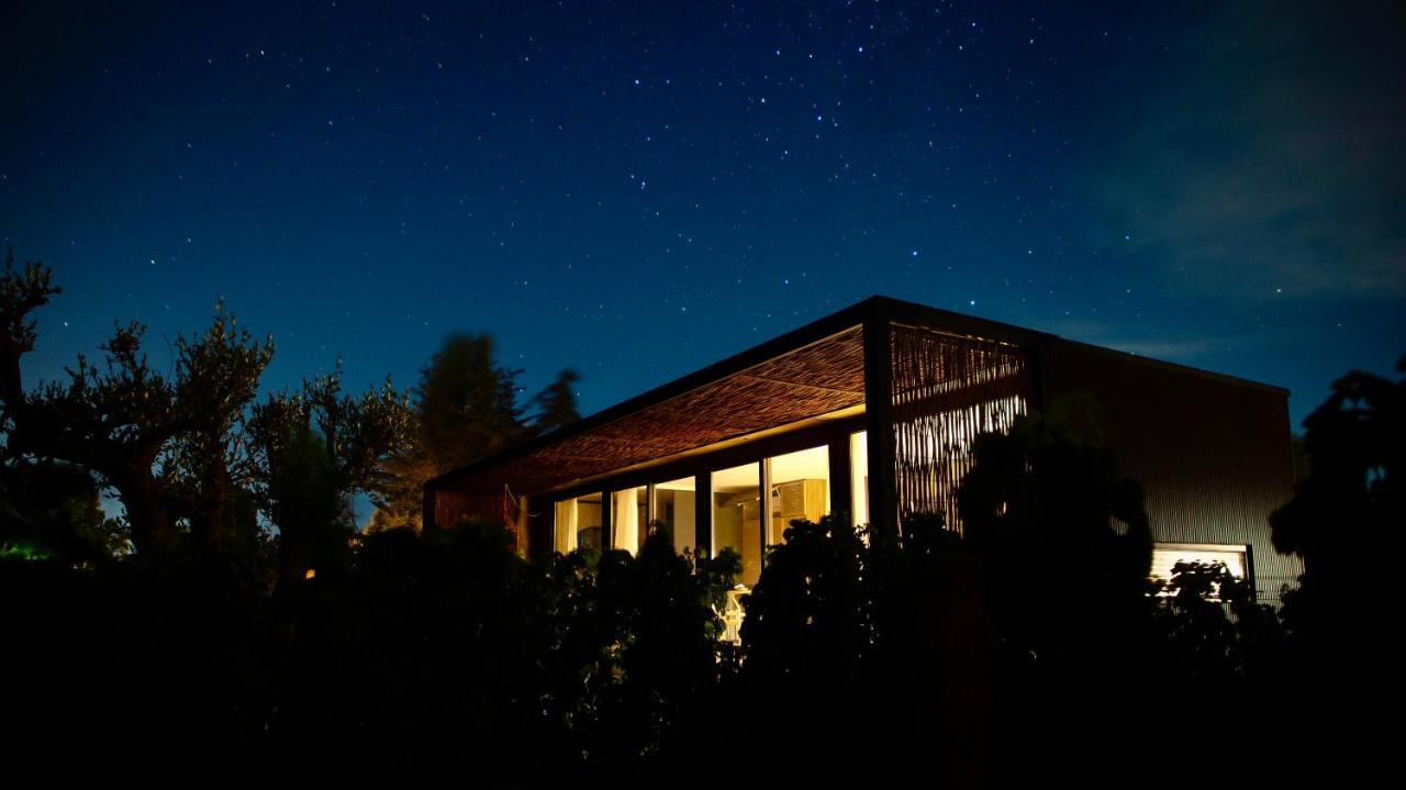 Vibo Wine Lodge At Viu Manent Santa Cruz Bagian luar foto