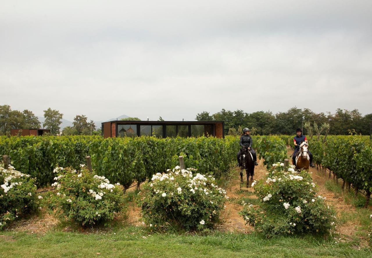 Vibo Wine Lodge At Viu Manent Santa Cruz Bagian luar foto