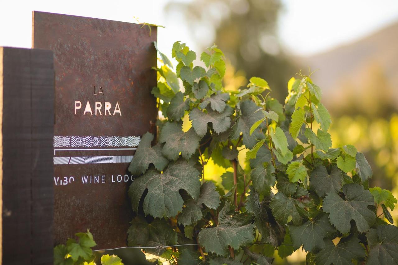 Vibo Wine Lodge At Viu Manent Santa Cruz Bagian luar foto