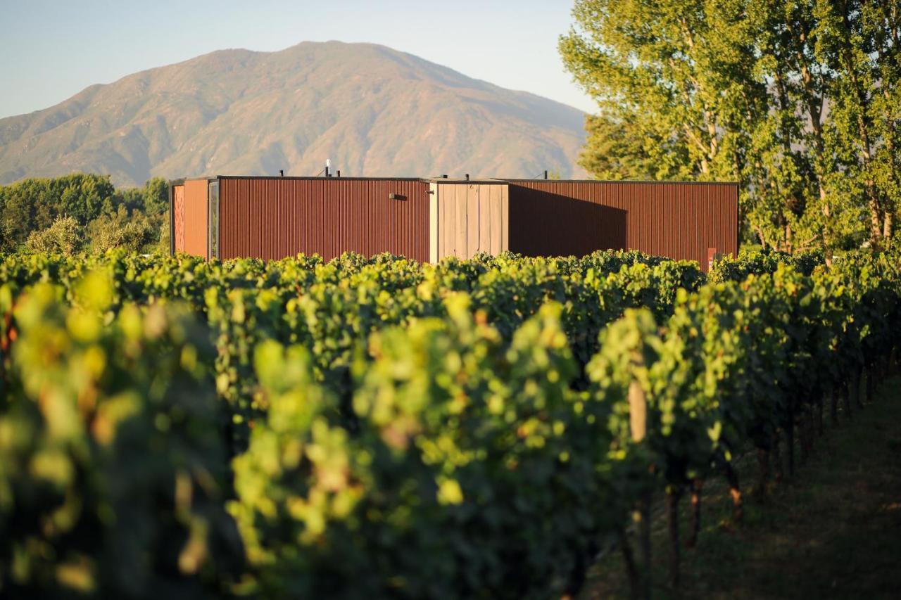 Vibo Wine Lodge At Viu Manent Santa Cruz Bagian luar foto