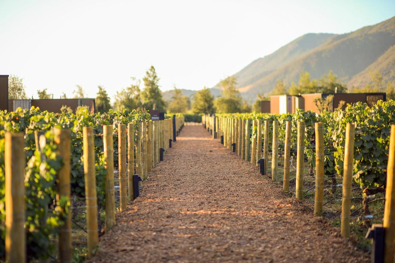 Vibo Wine Lodge At Viu Manent Santa Cruz Bagian luar foto